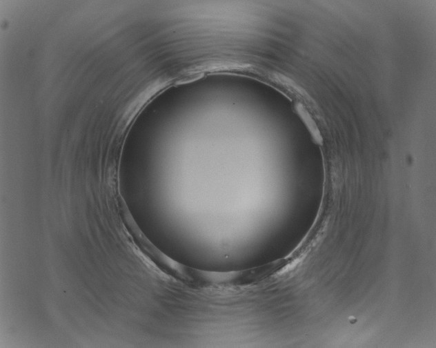 X0000073731185200608171221