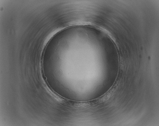 X0000073731187200608171221