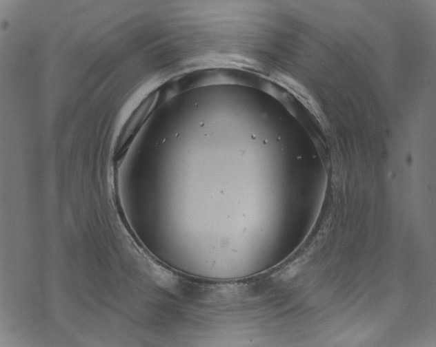 X0000073731188200608171221