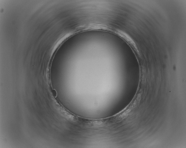 X0000073731190200608171221