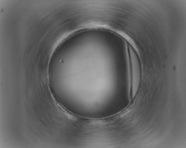 X0000073731191200608171221