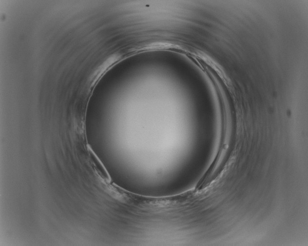 X0000073731193200608171221