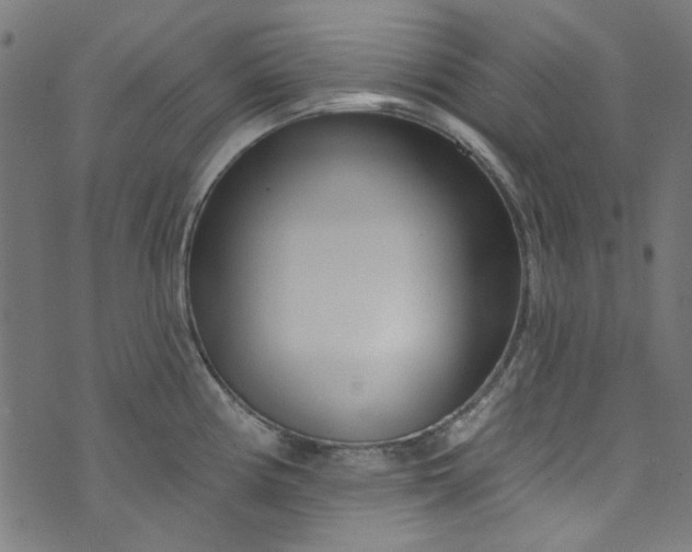 X0000073731194200608171221