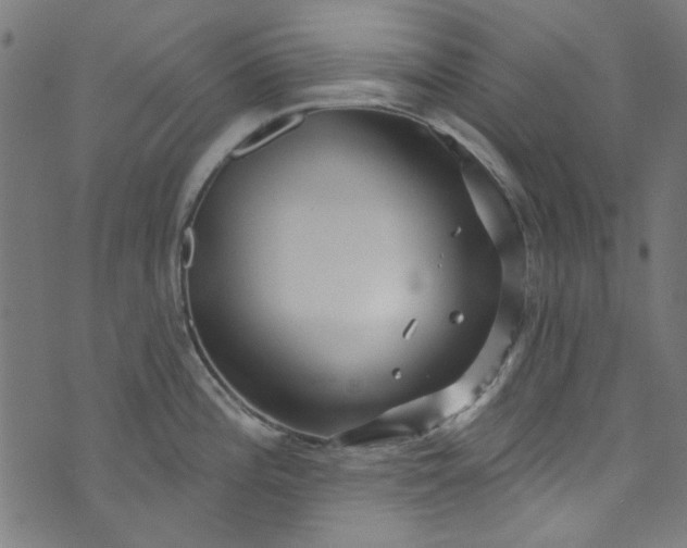 X0000073731196200608171221