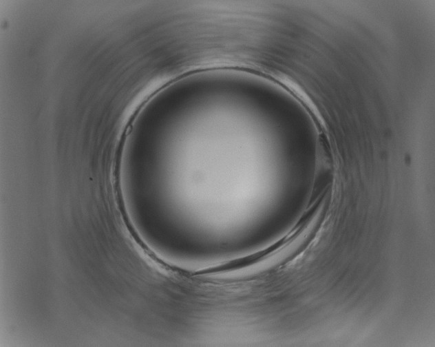 X0000073731197200608171221