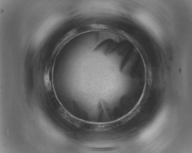 X0000073731198200608171221