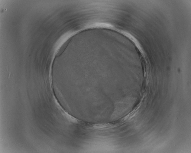 X0000073731199200608171221