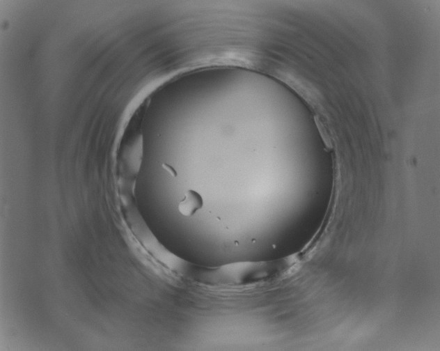 X0000073731200200608171221