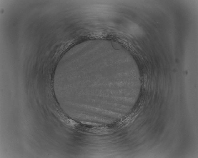 X0000073731201200608171220