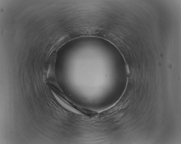 X0000073731202200608171220