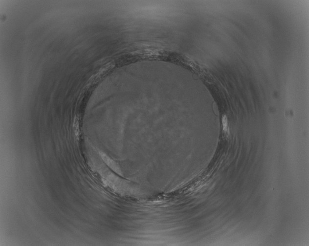 X0000073731203200608171220