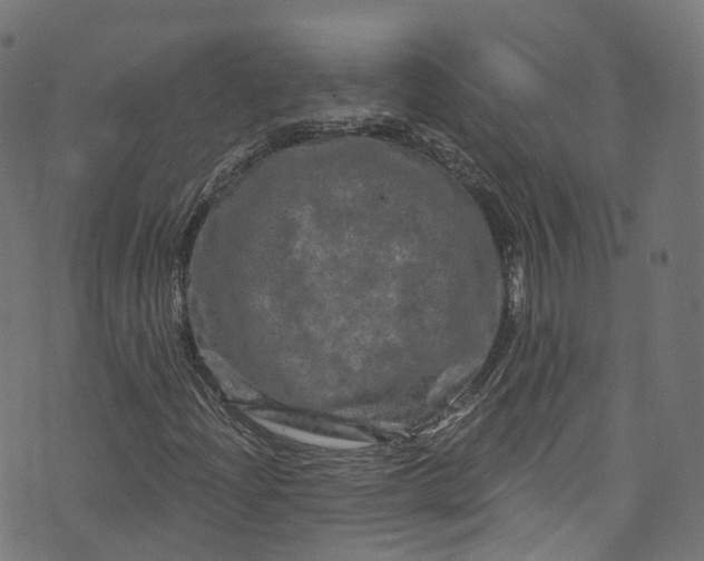 X0000073731204200608171220