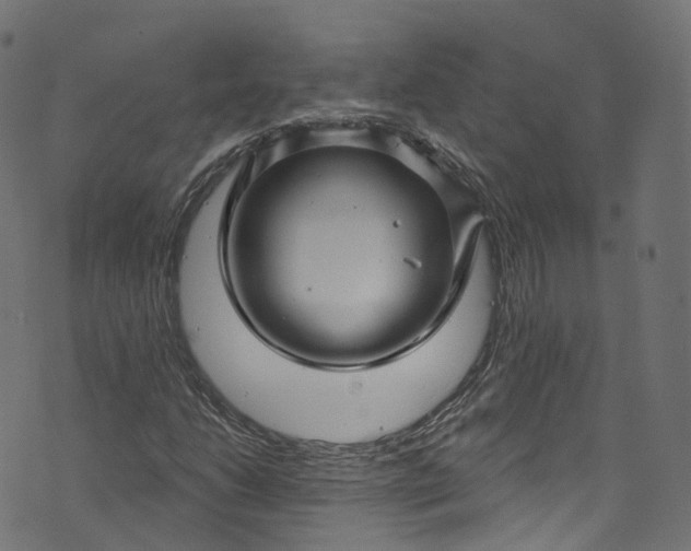 X0000073731206200608171220