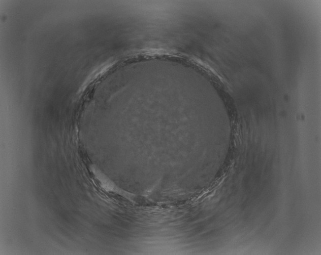 X0000073731207200608171220