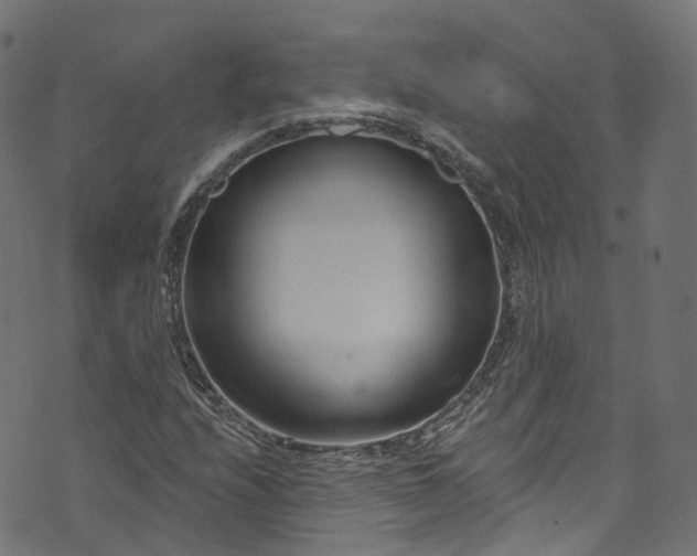 X0000073731208200608171220