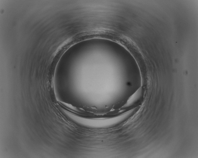 X0000073731210200608171220