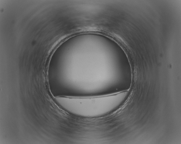 X0000073731212200608171220