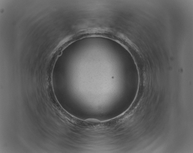 X0000073731213200608171220