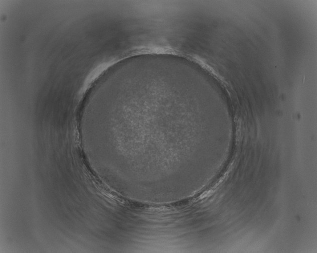 X0000073731215200608171220