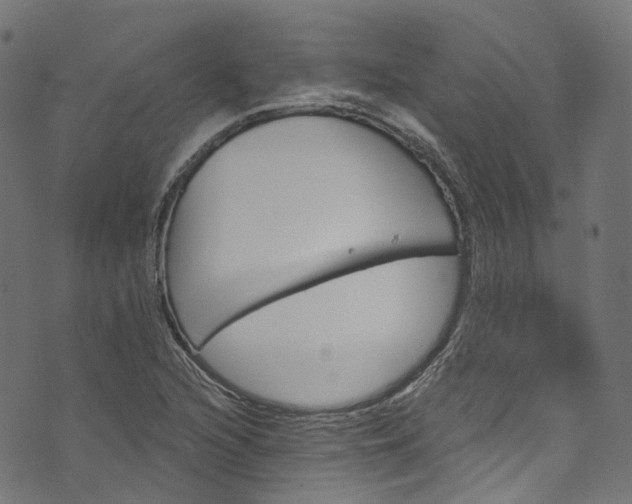 X0000073731216200608171220