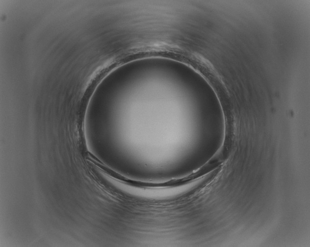 X0000073731218200608171220