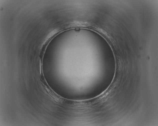 X0000073731219200608171220