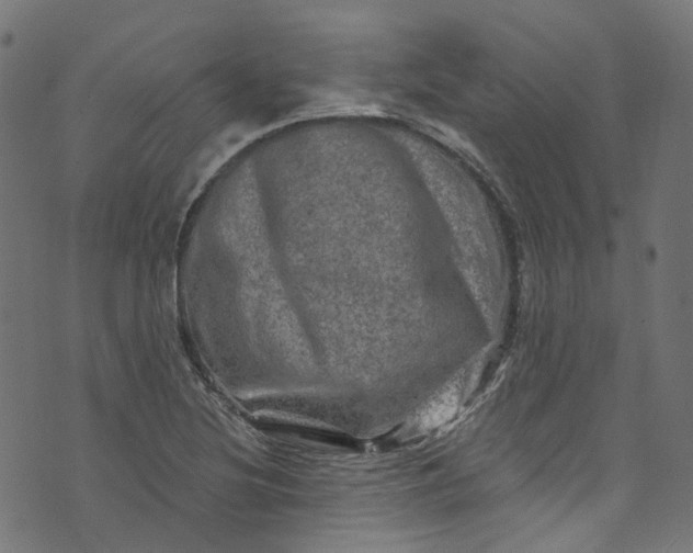 X0000073731220200608171220