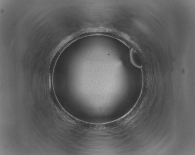 X0000073731221200608171220