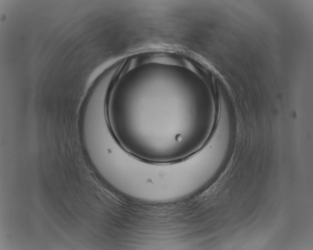 X0000073731222200608171220