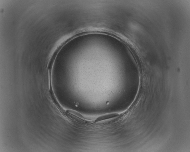 X0000073731223200608171220