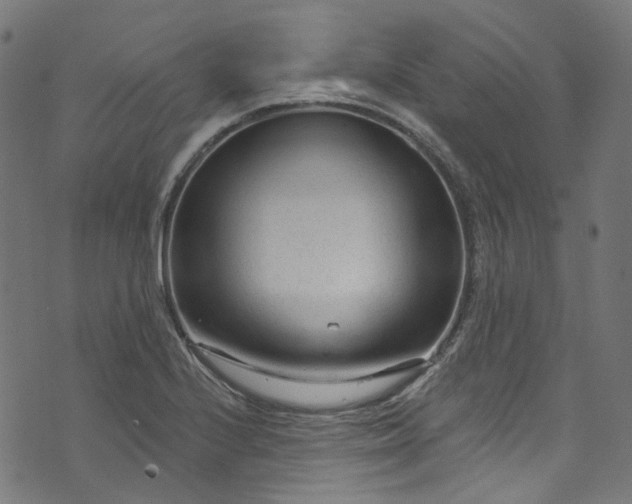 X0000073731224200608171220