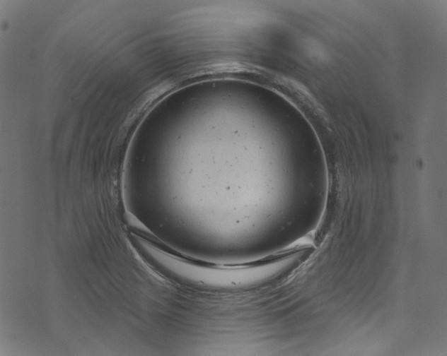 X0000073731225200608171220