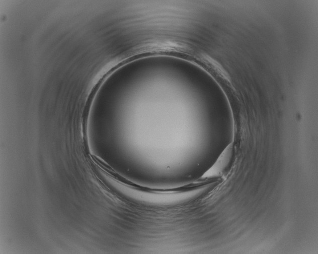 X0000073731226200608171220