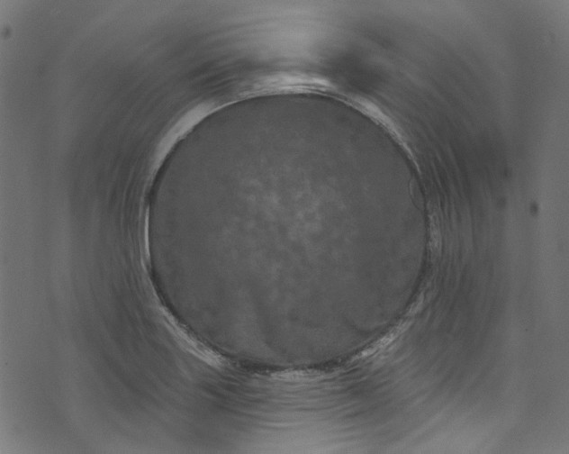 X0000073731227200608171220