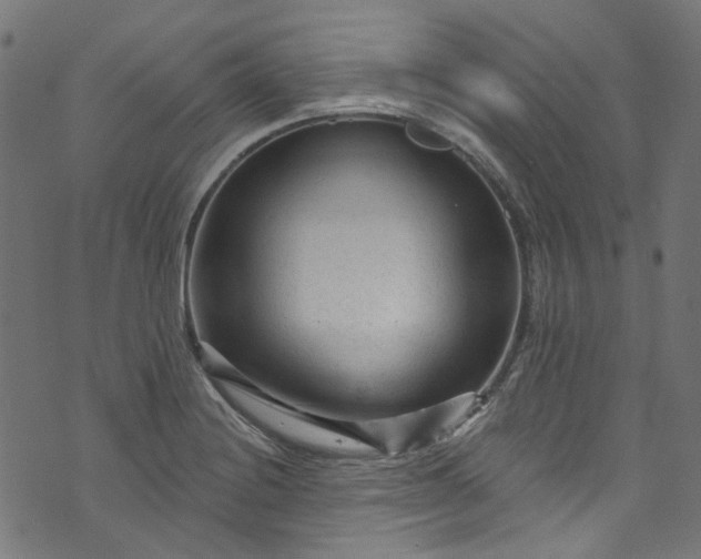 X0000073731228200608171220