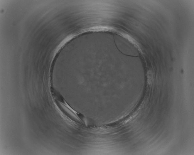 X0000073731229200608171220