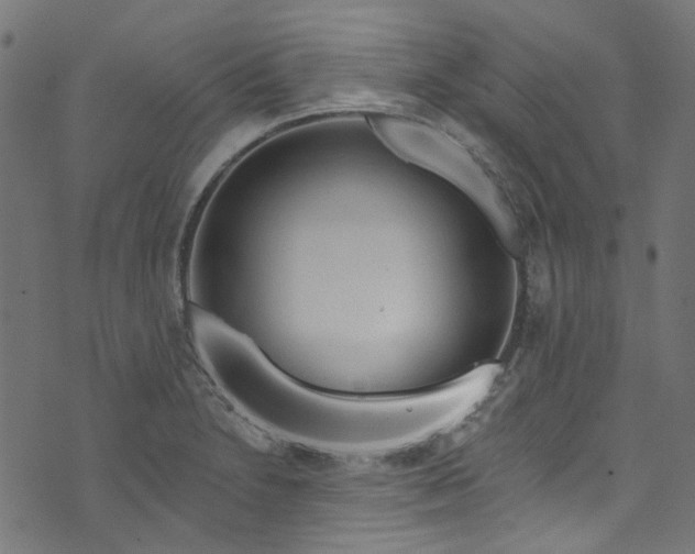 X0000073731230200608171220