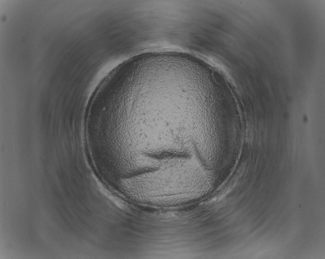 X0000073731231200608171220