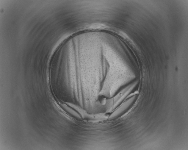 X0000073731232200608171220