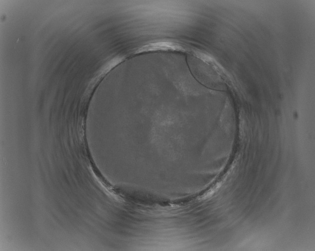 X0000073731233200608171220