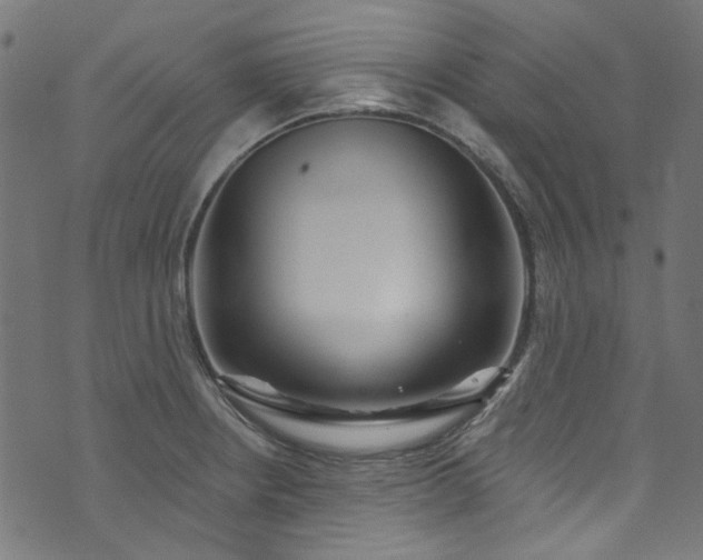 X0000073731234200608171220