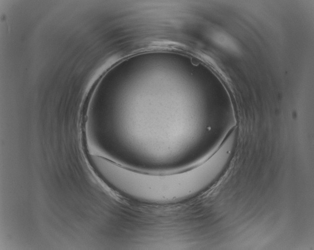 X0000073731235200608171220