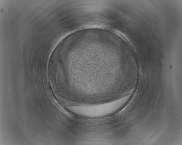 X0000073731236200608171220