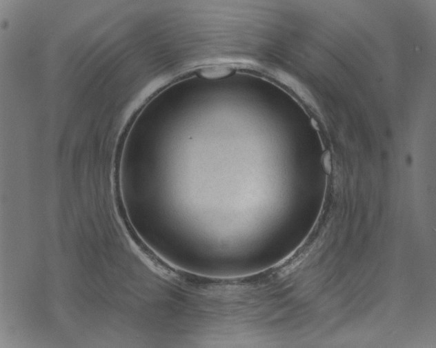 X0000073731237200608171220