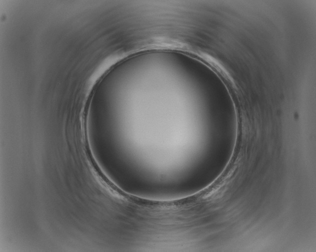 X0000073731238200608171220