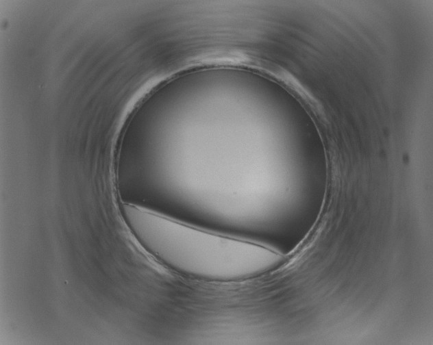 X0000073731240200608171221