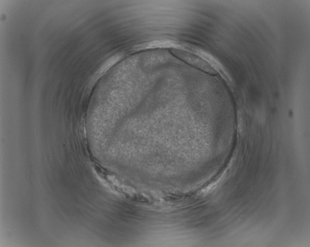 X0000073731241200608171221