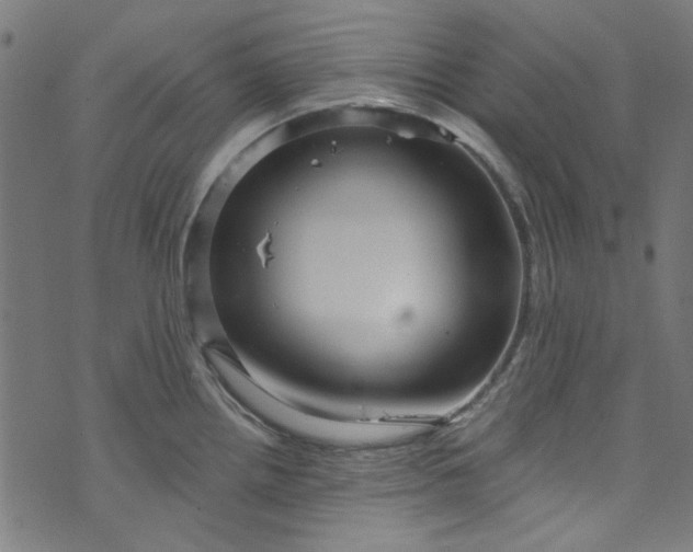 X0000073731242200608171221