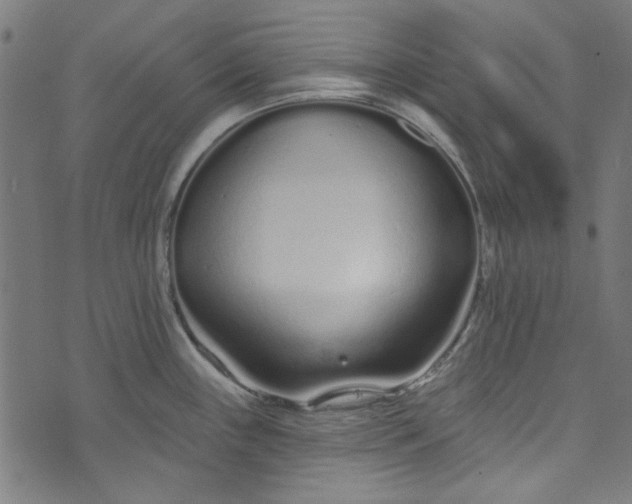 X0000073731243200608171221