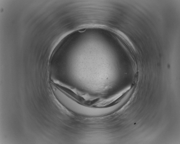 X0000073731244200608171221